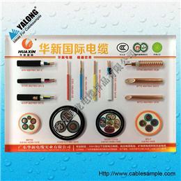 YJB型電纜樣品