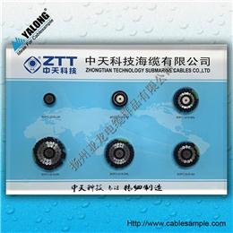 YJB型電纜樣品