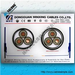 YJH型電纜樣品