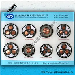 YJH型電纜樣品