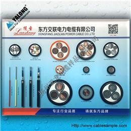 YJH型電纜樣品