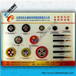 YJH型電纜樣品