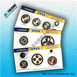 YJK型電纜樣品