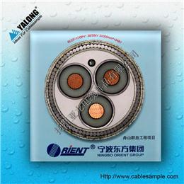 YJP型電纜樣品